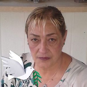 Meet your Posher, Hosnshah